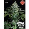 SPEED HAZE  * PURE SEEDS  5 SEMI FEM