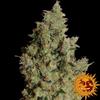 TANGERINE DREAM * BARNEY'S FARM   1 SEME FEM 