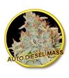 AUTO DIESEL MASS * MR HIDE SEEDS - 50 SEMI  FEM