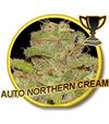 AUTO NORTHERN CREAM * MR HIDE SEEDS - 50 SEMI  FEM