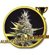 AUTO MAZAR BLUE * MR HIDE SEEDS - 100 SEMI  FEM