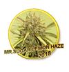 MR. SUGAR LEMON HAZE * MR HIDE SEEDS - 25 SEMI  FEM