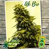 AK  BIO * BIOLOGICAL SEEDS   3 SEMI