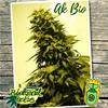 AK  BIO * BIOLOGICAL SEEDS 10 SEMI