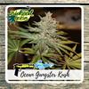 OCEAN GANGSTER KUSH  * BIOLOGICAL SEEDS   1 SEME