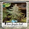 OCEAN GANGSTER KUSH  * BIOLOGICAL SEEDS  10 SEMI