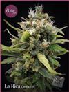 LA RICA * ELITE SEEDS 50 SEMI FEM 