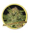 AUTO WHITE WIDOW * MR HIDE SEEDS - 50 SEMI FEM