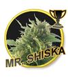 MR.SHISKA * MR HIDE SEEDS USA STRAINS - 7 SEMI REG