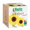 FLORTIS PLANTCUBE GIRASOLE