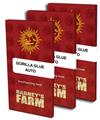 GORILLA GLUE AUTO * BARNEY'S FARM - 1 SEME FEM