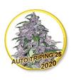 AUTO TRIPING 25 * MR HIDE SEEDS - USA STRAINS - 1 SEME  FEM