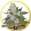 MR WHITE WIDOW + * MR HIDE SEEDS - 1 SEME FEM