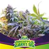 PINEAPPLE LARRY OG * BSF SEEDS - 4 SEMI FEM