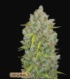 BUBBLEGUM AUTO * FAST BUDS SEEDS - 2 SEMI FEM