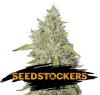 NORTHERN LIGHTS AUTO * SEEDSTOCKERS CLASSIC  100 SEMI FEM