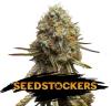 WEDDING GLUE * SEEDSTOCKERS - 25 SEMI FEM