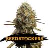 WEDDING GLUE * SEEDSTOCKERS - 100 SEMI FEM