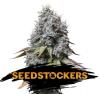 SOUR DIESEL * SEEDSTOCKERS - 5 SEMI FEM