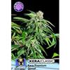 KERA PREMIUM DIESEL* KERA SEEDS  1 SEME FEM