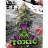 TOXIC * RIPPER SEEDS   3 SEMI FEM 