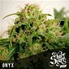 ONYX * SHORT STUFF SEEDS   3 SEMI FEM