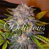 CARAMELO * DELICIOUS SEEDS SATIVA    3 SEMI FEM