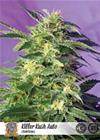 KILLER  KUSH AUTO * SWEET SEEDS FEMINIZED   3 SEMI